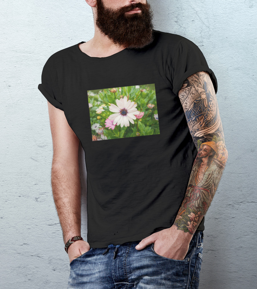 White Asters Flower Blooms In Lush Green Fields T-Shirt