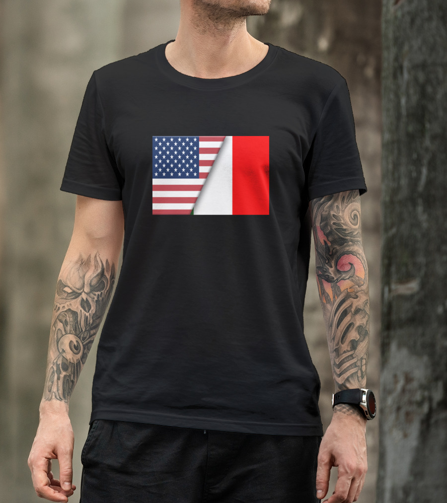 Usa Flag Italy Italian Flag Immigrant Ancestry Hom Heritage Fusion T-Shirt