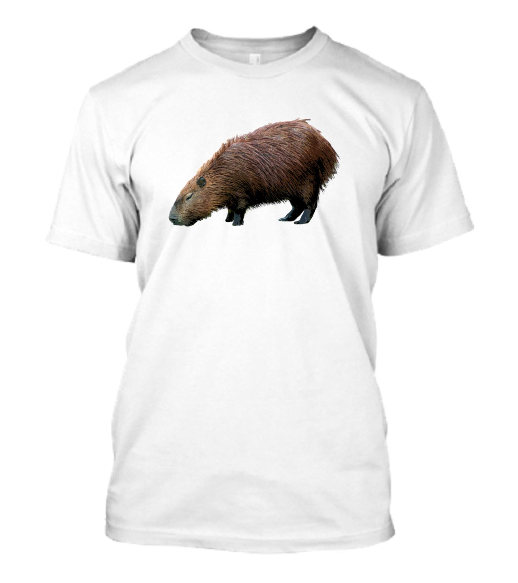 Capybara Colorful Creature On Charcoal Background T-Shirt