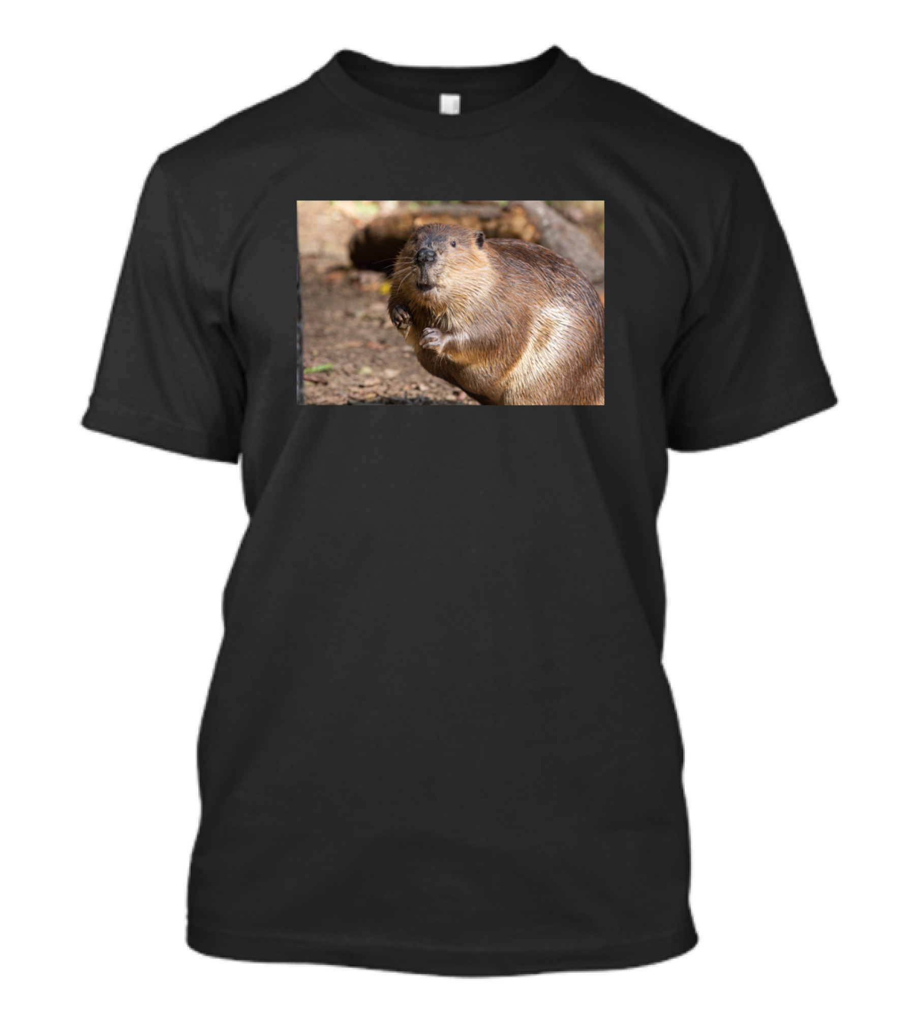 Cute Beaver Staring At You T-Shirt