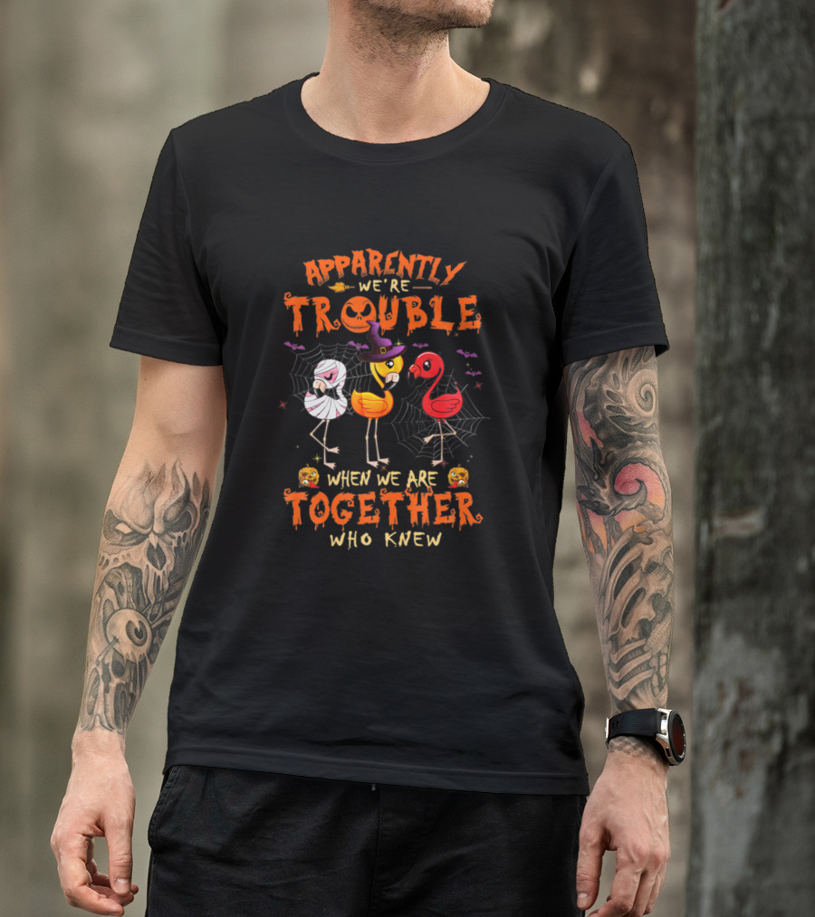 Apparently We're Trouble When We Are Together Who Knew Halloween Flamingos T-Shirt