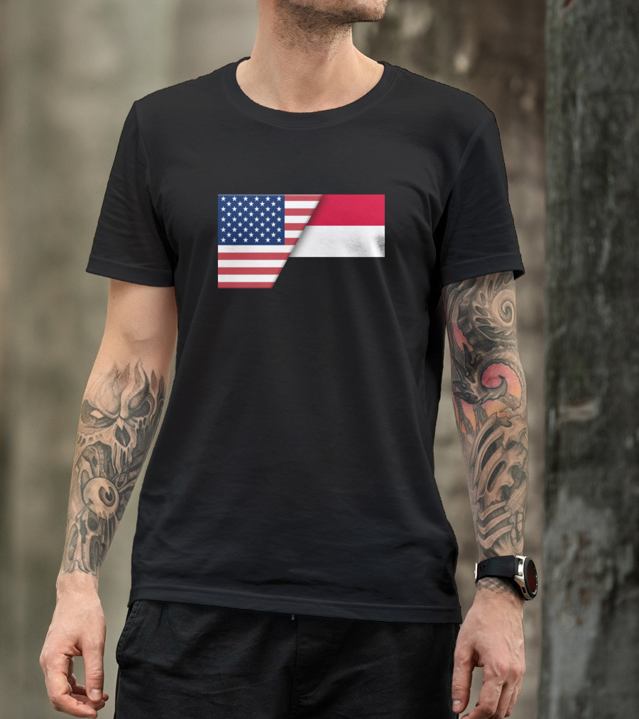 Usa Flag And Sudanese Flag Immigrant Ancestry T-Shirt