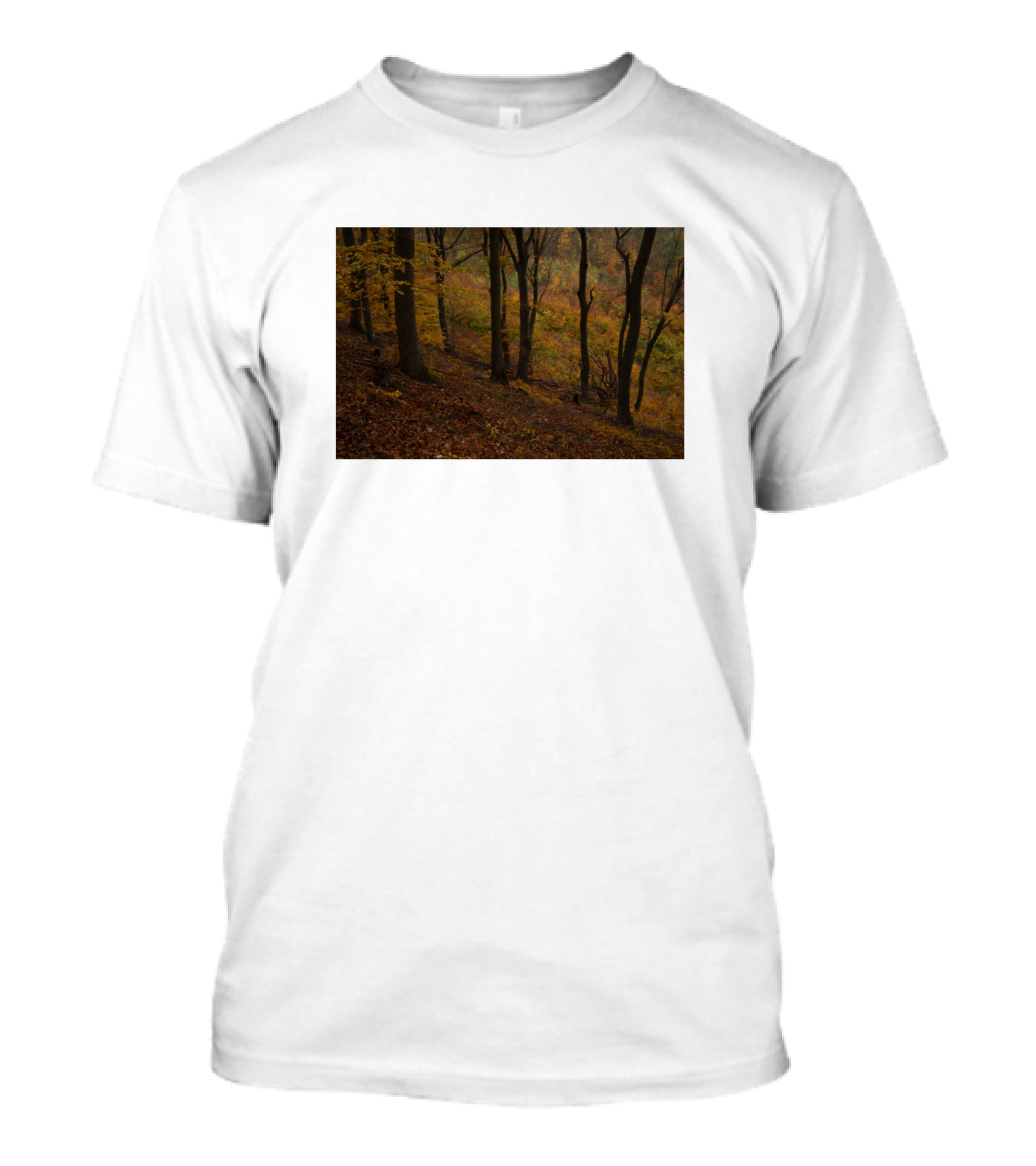 Dramatic Autumn Forest Path In Misty Woods T-Shirt