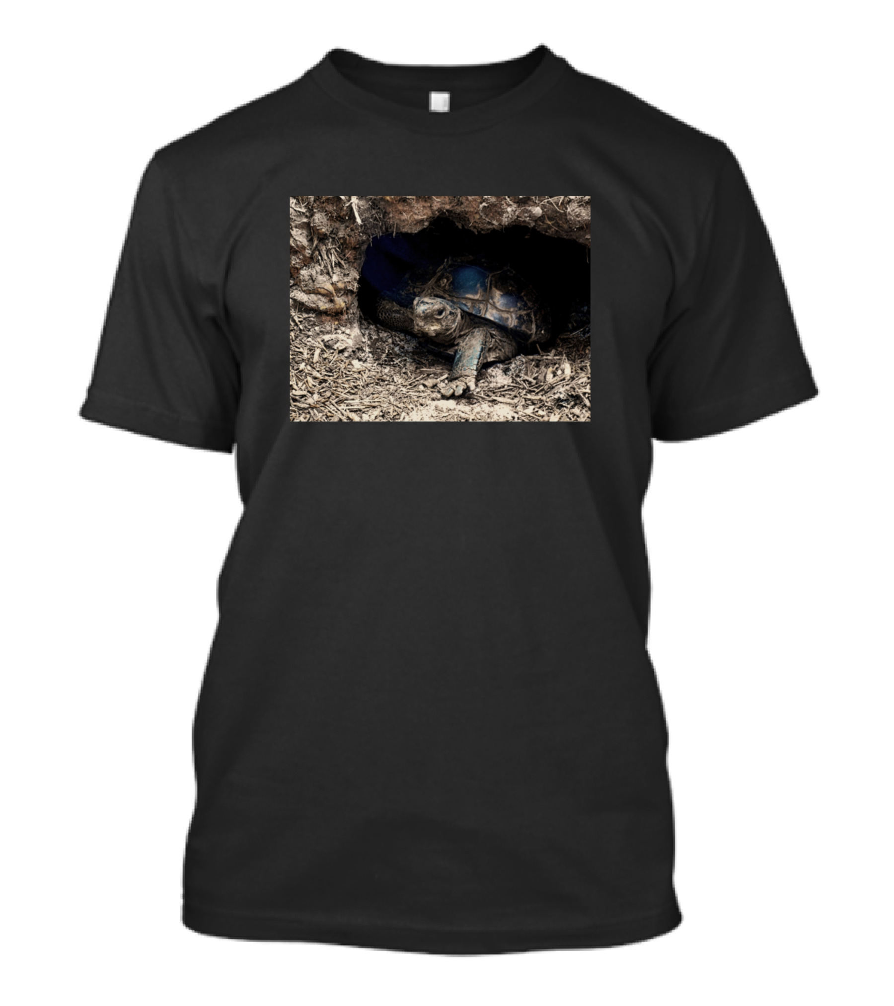 Box Tortoise Sheltering In Natural Habitat T-Shirt
