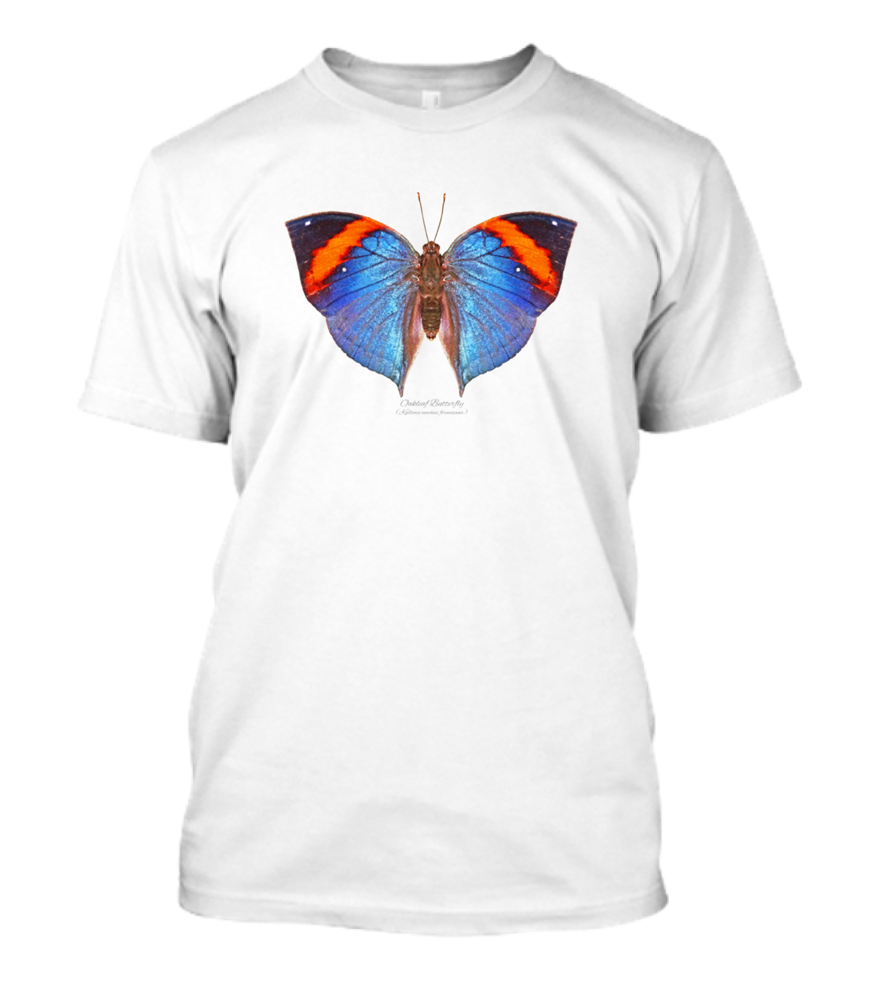 Oakleaf Butterfly Kallima Inachus Formosana Blue And Orange Wings T-Shirt