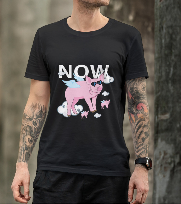 The Time Is Now Flying Pigs With Wings And Sunglasses T-Shirt