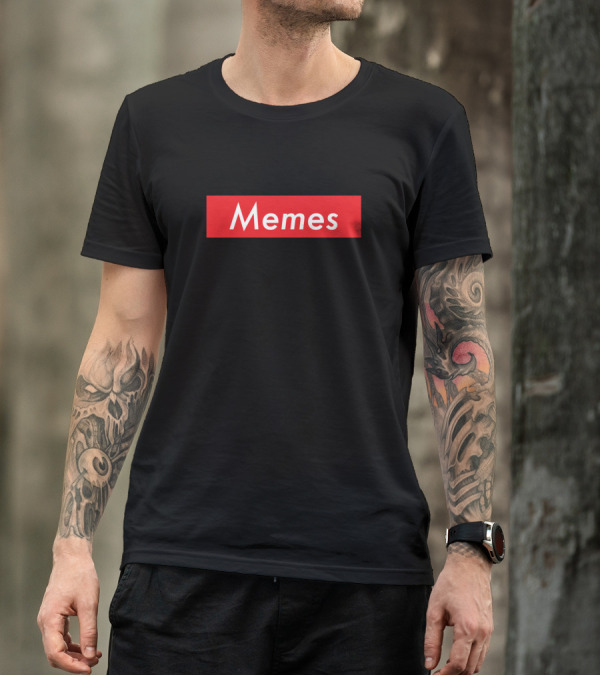 Memes Text In Red Rectangle T-Shirt