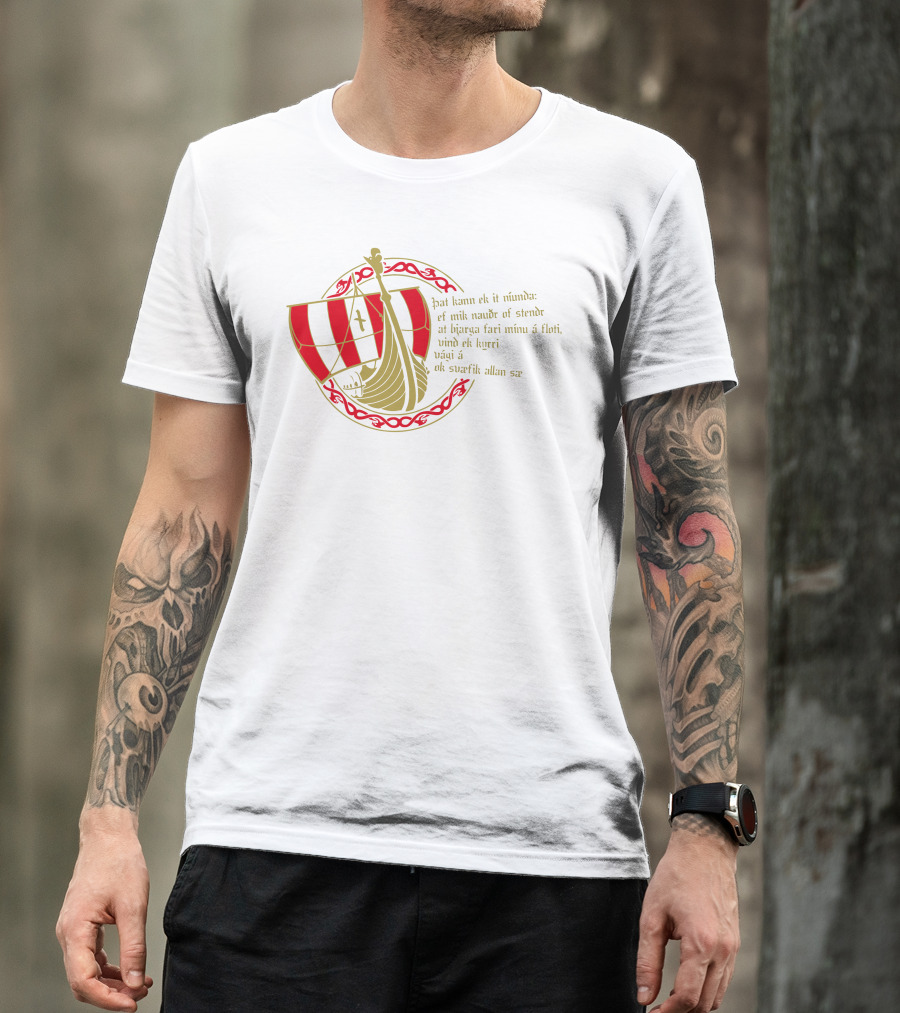 Drakkar Wikinger Schiff Odin Edda Rune Naudr þat Kann Ek Ið Níunda Ef Mik Nauðr Of Stendr At Bjarga Fari Minu á Floti Vind Ek Kyrri Vági á Ok Svæfik Allan Sæ T-Shirt