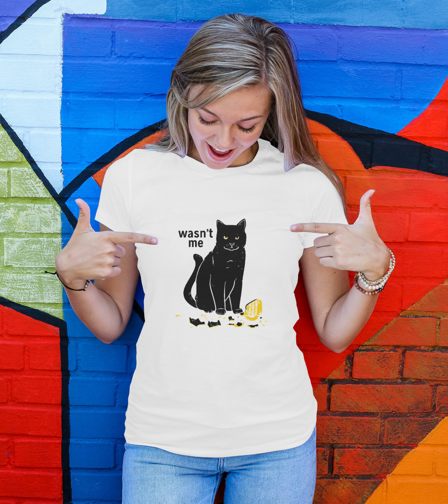 Wasn't Me Black Cat With Broken Vase T-Shirt