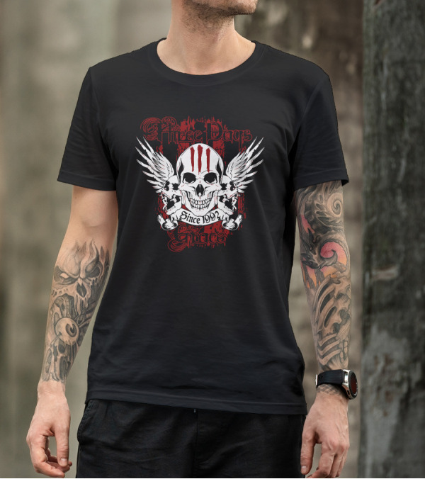 Hree Days Grace Skull Wings Since 1992 Tour 2013 Cadott T-Shirt
