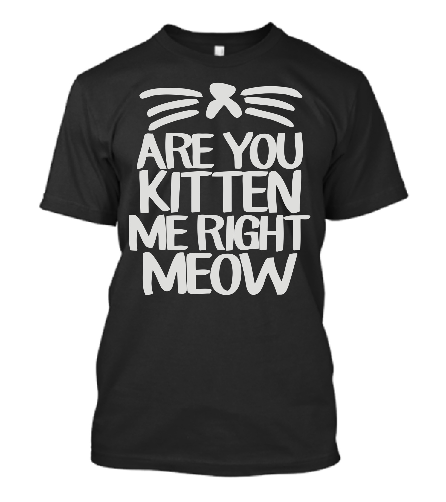Are You Kitten Me Right Meow Cat Whiskers Playful Pun T-Shirt