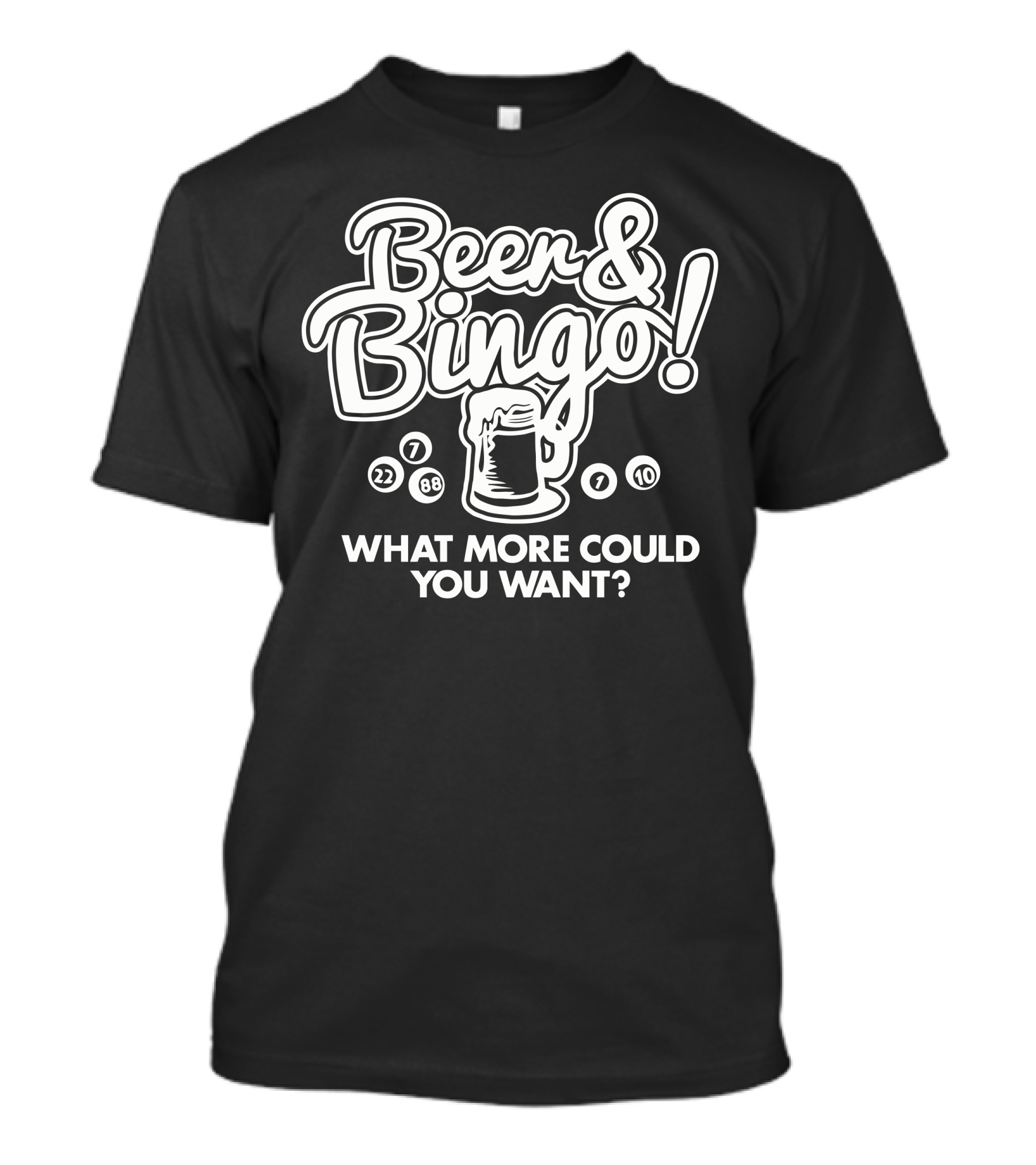 Beer And Bingo What More Could You Want? T-Shirt