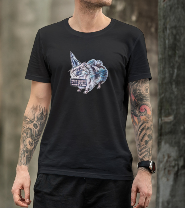 Queen Of Halloween Do In My Way Or I'll Push You Off My Broom Pomeranian Dog Wearing Witch Hat T-Shirt