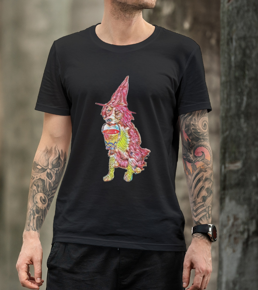 A Cute Young Border Collie Dog Holding Halloween Witch Hat And Candy Bucket T-Shirt