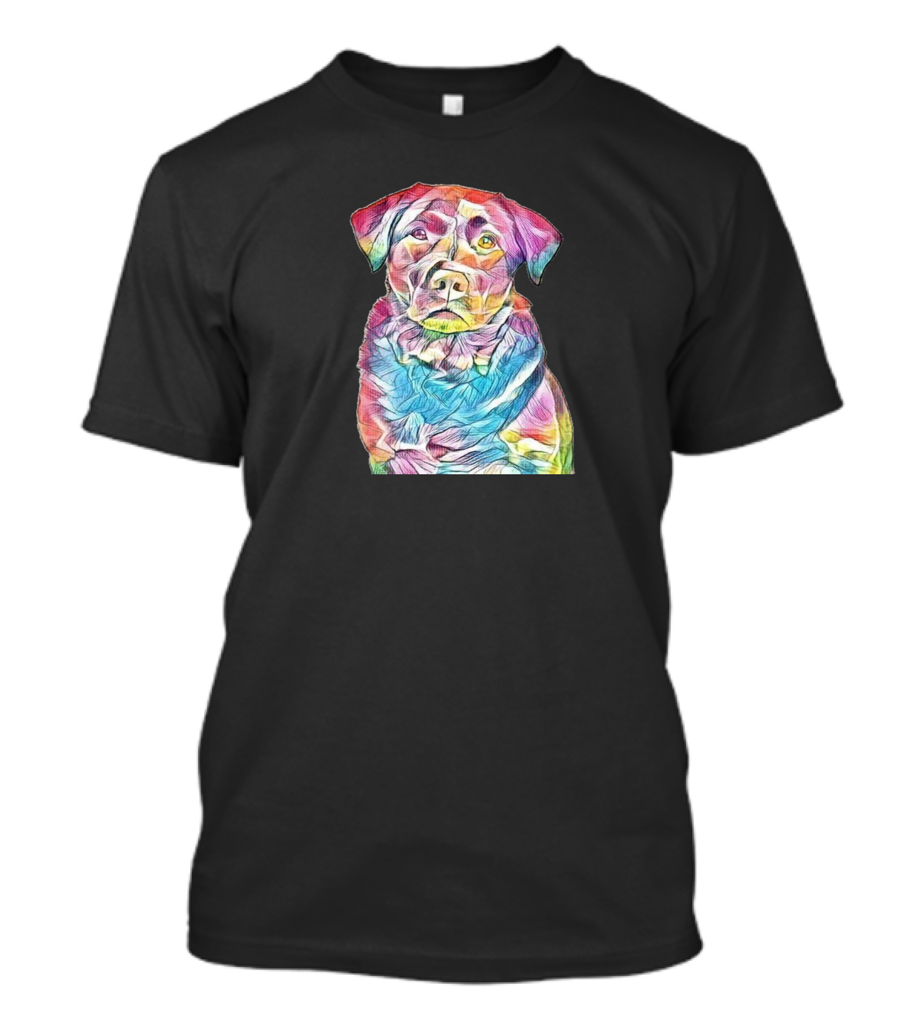 Closeup Of A Very Serious Colorful Lab T-Shirt