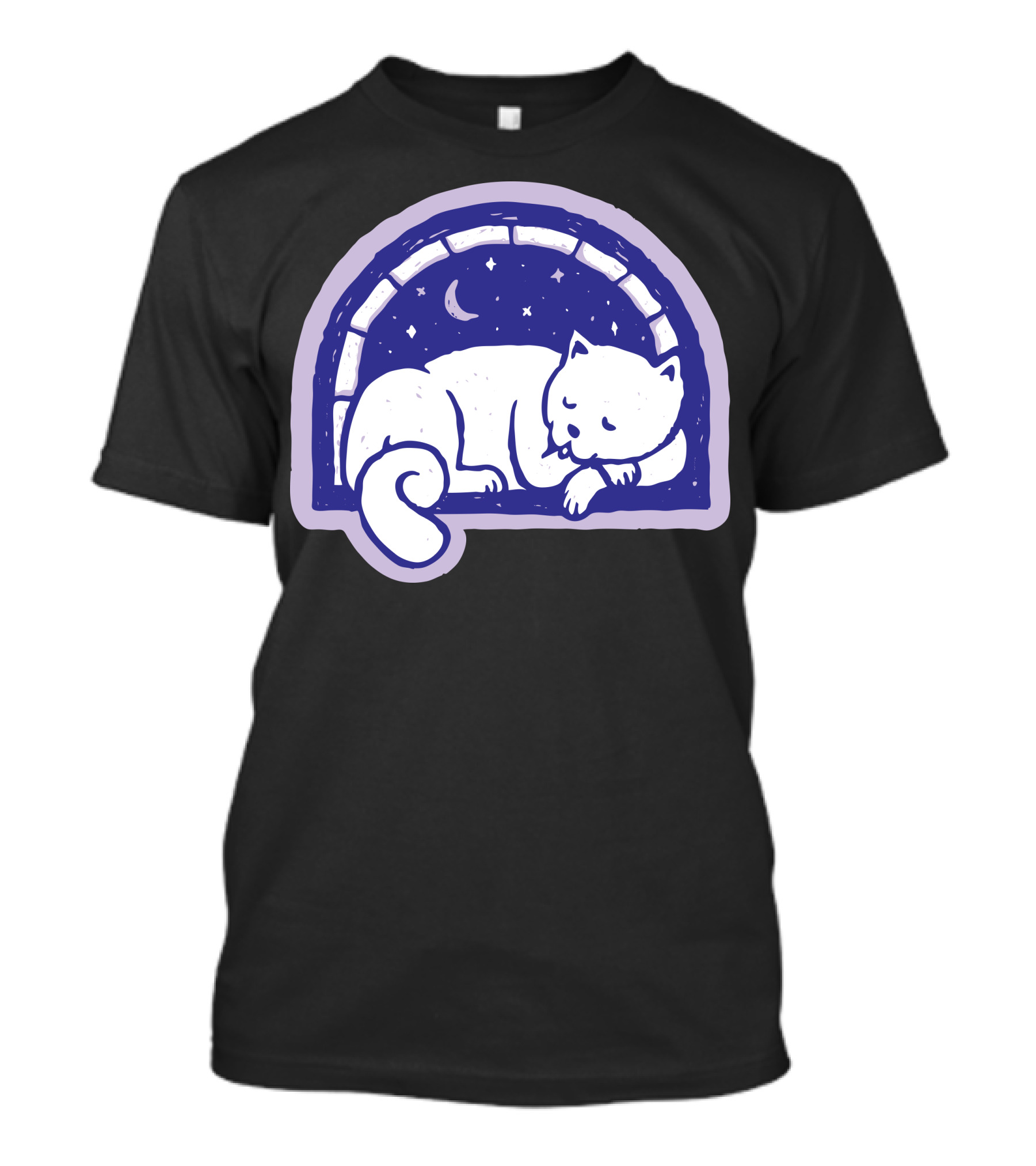 Cat Sleep Under Starry Moonlit Sky T-Shirt