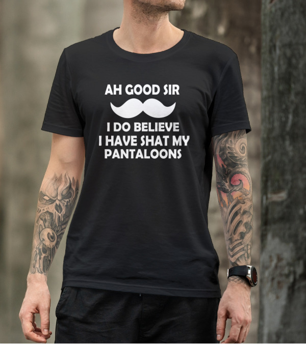 Ah Good Sir I Do Believe I Have Shat My Pantaloons Funny Humor Geek T-Shirt