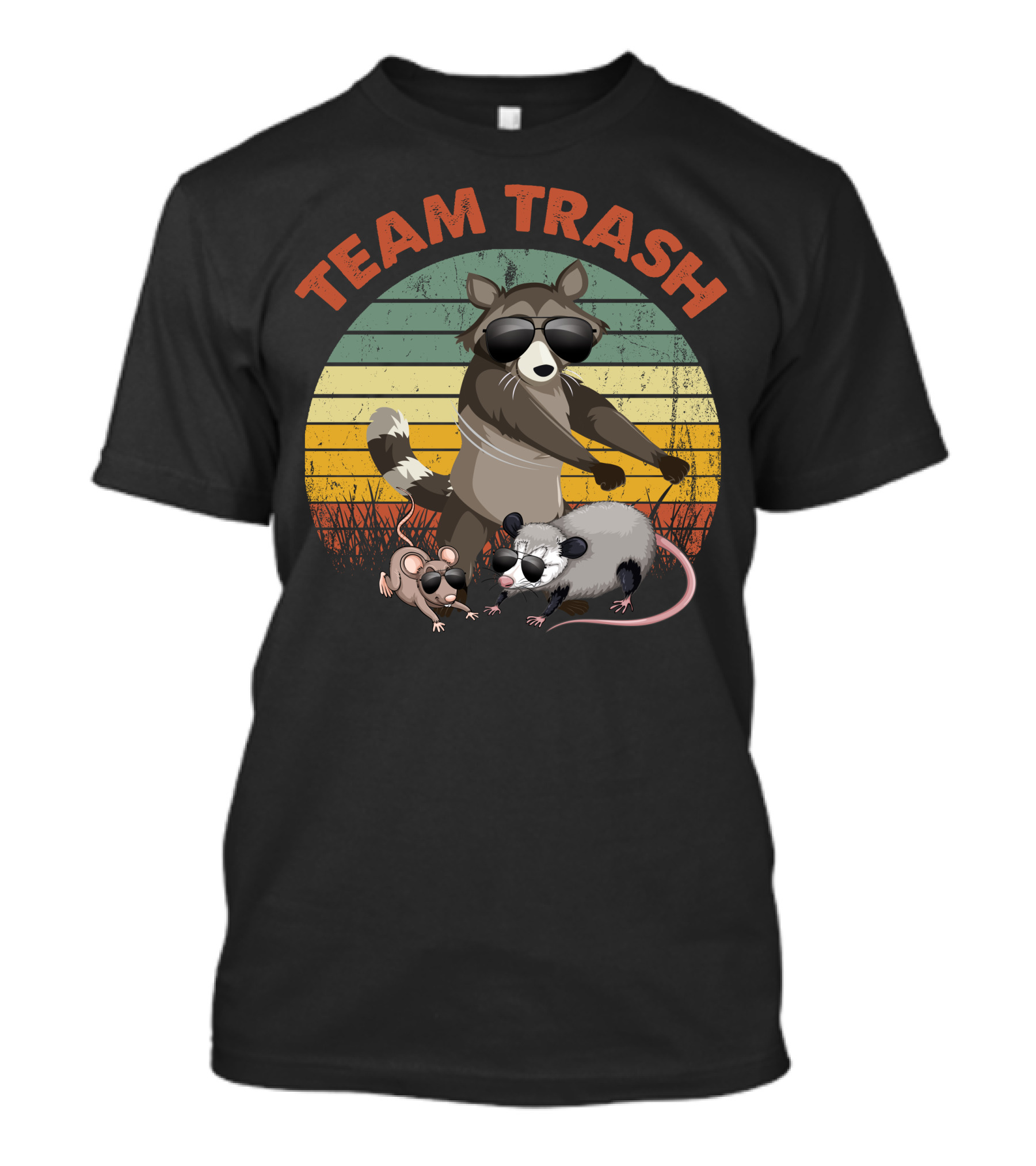 Team Trash Raccoon Rat Opossum Vintage Sunset T-Shirt