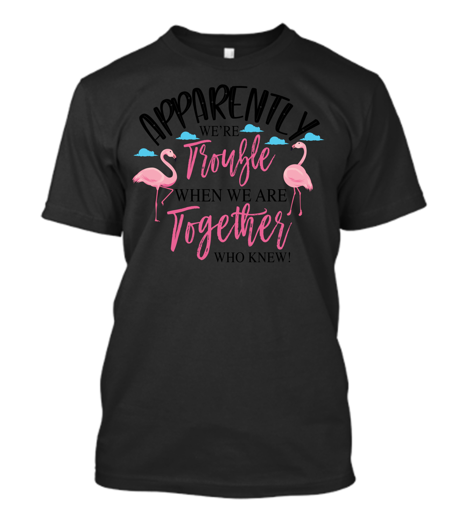 Apparently We're Trouble When We Are Together Who Knew Flamingos Clouds T-Shirt