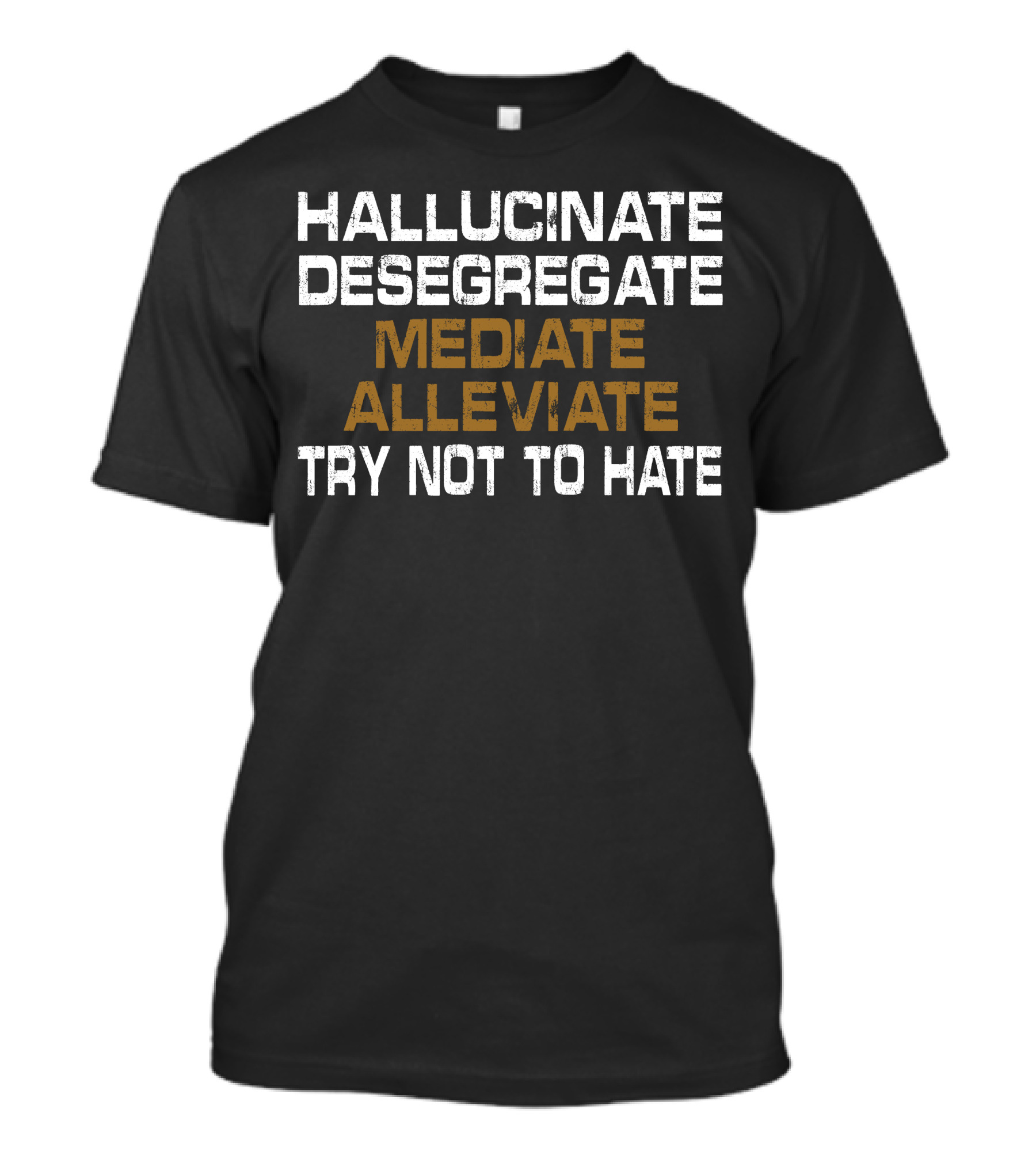 HALLUCINATE DESEGREGATE MEDIATE ALLEVIATE TRY NOT TO HATE T-Shirt