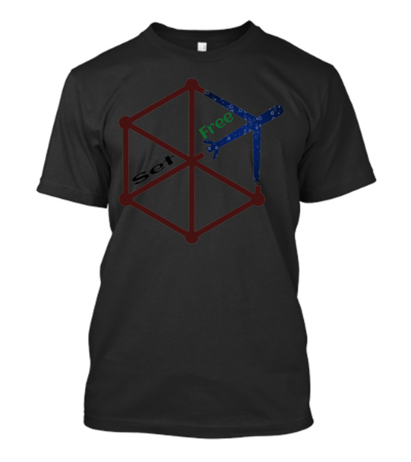 Set Free Airplane In Hexagonal Frame T-Shirt