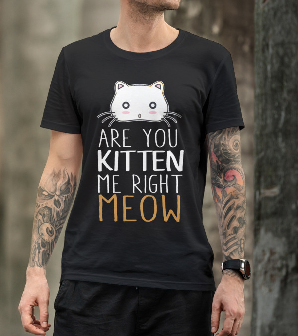 Are You Kitten Me Right Meow Cute Cat Face Pun T-Shirt