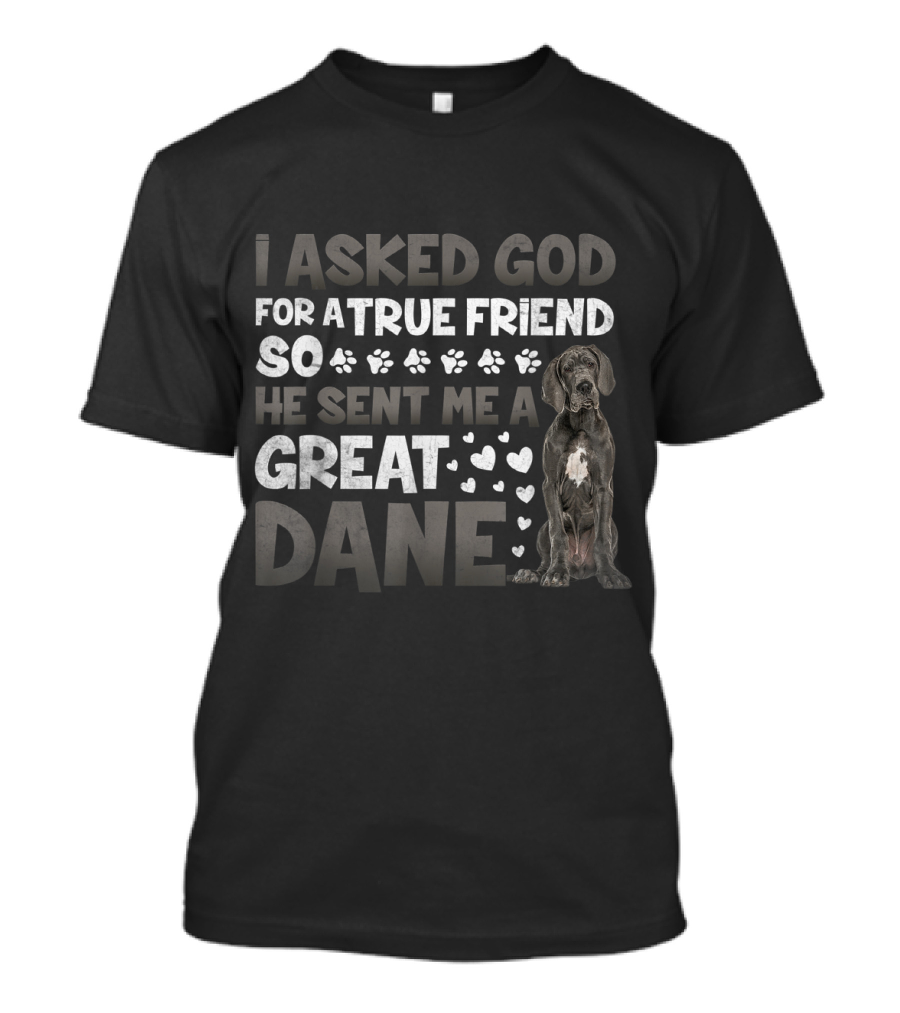 I Asked God For A True Friend So He Sent Me A Great Dane Merle Dog Lovers T-Shirt