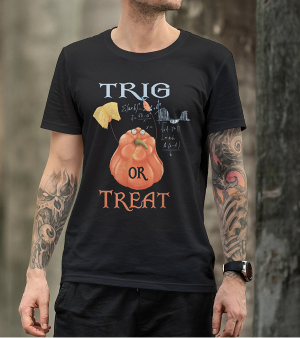 Trig Or Treat Pumpkin Math Equations Funny Halloween Teacher T-Shirt