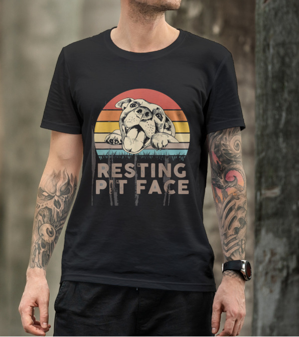 Retro Vintage Resting Pit Face Funny Pitbull Lover Sunrise Stripe T-Shirt