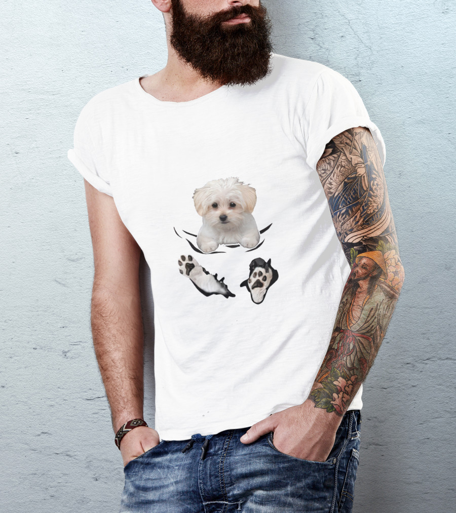 Maltese Puppy Peeking With Paws Blue Background T-Shirt