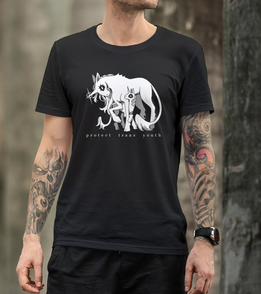 Protect Trans Youth Unicorn Support T-Shirt