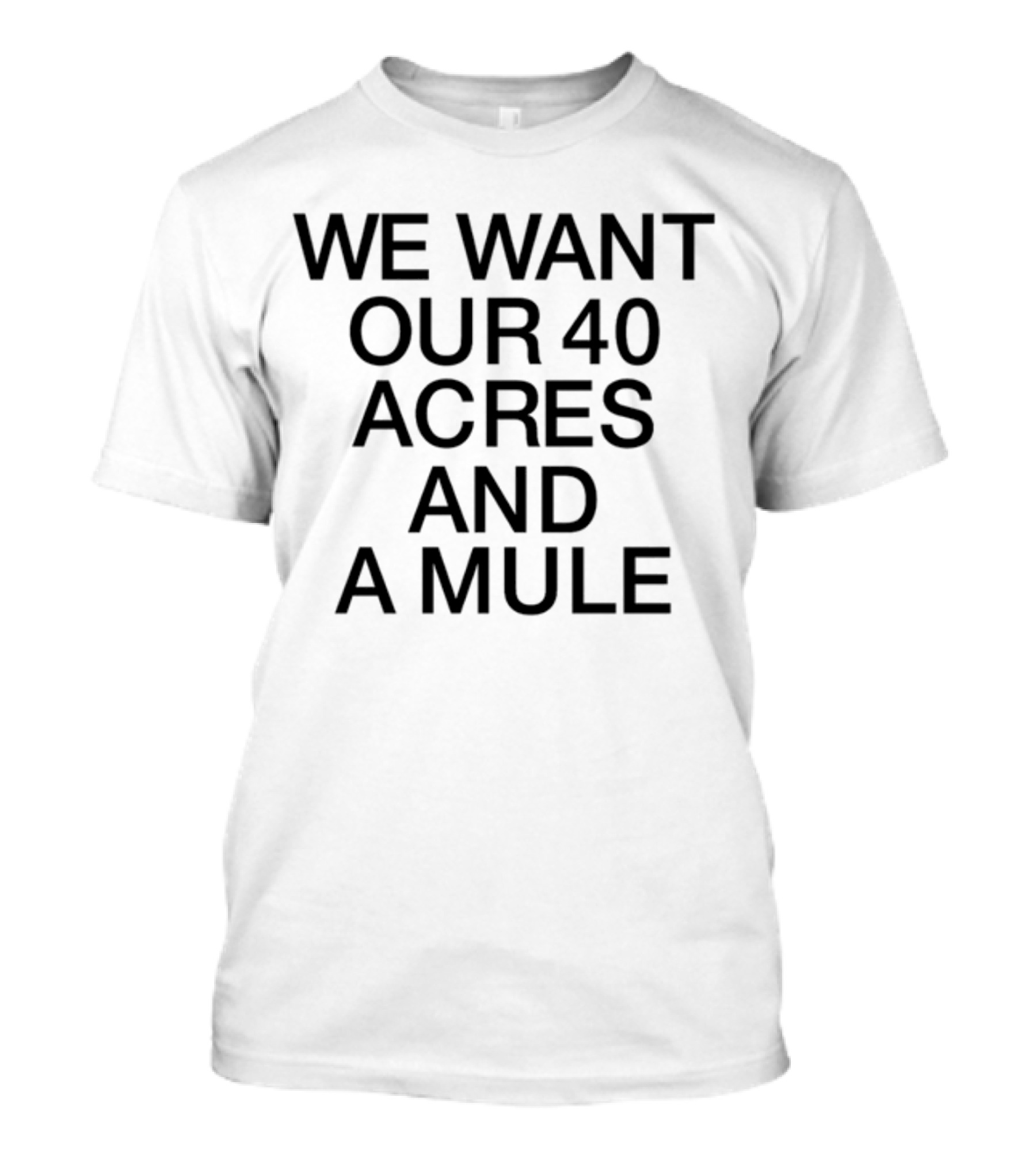 We Want Our 40 Acres And A Mule Michael T-Shirt
