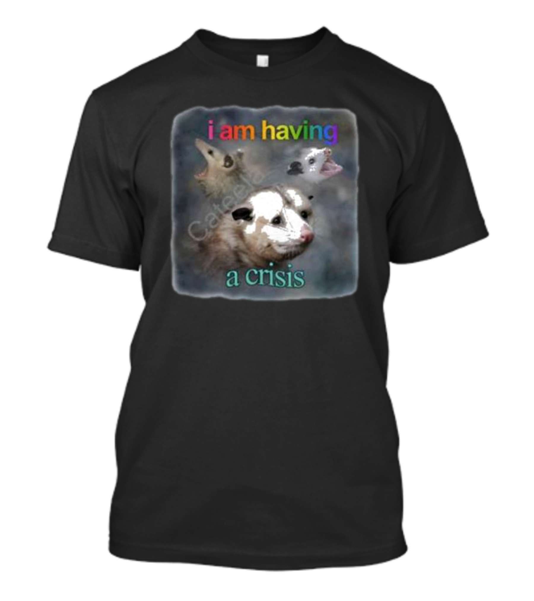 Snazzyseagull I Am Having A Crisis Possum Multicolored Text Mood T-Shirt
