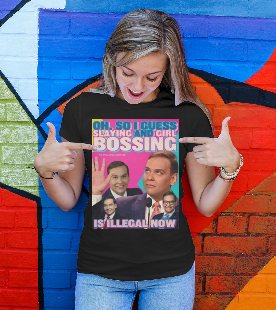 Oh So I Guess Slaying And Girl Bossing Is Illegal Now T-Shirt