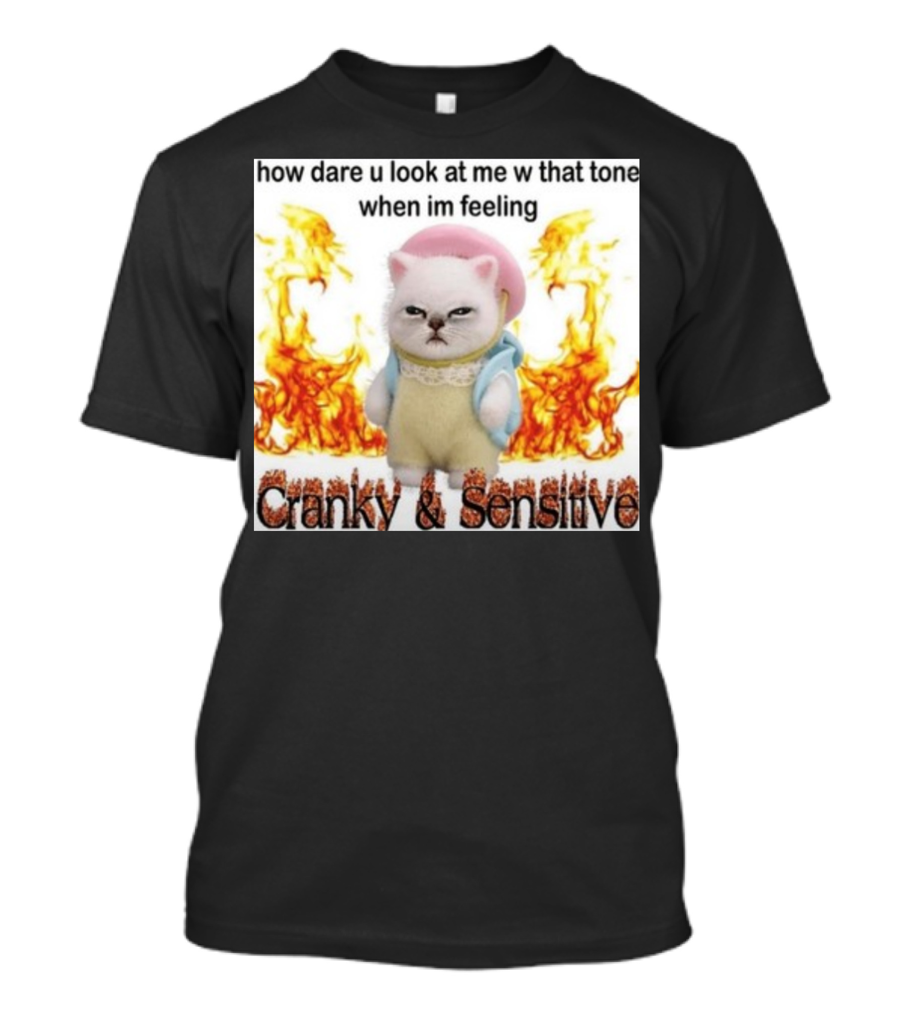 Cranky And Sensitive How Dare U Look At Me W That Tone When I'm Feeling T-Shirt