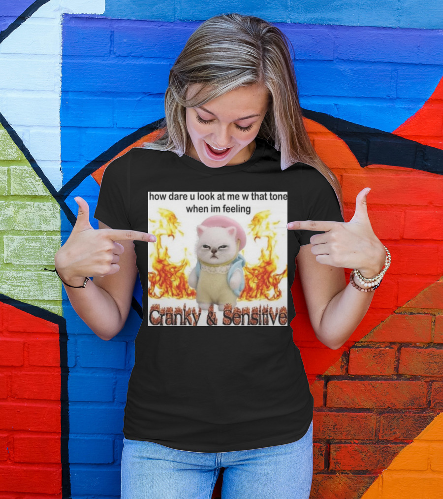 Cranky And Sensitive How Dare U Look At Me W That Tone When I'm Feeling T-Shirt