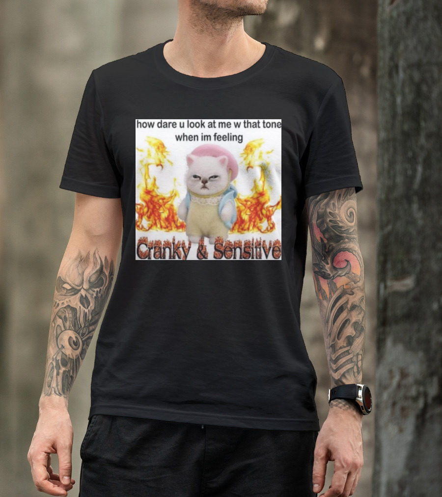 Cranky And Sensitive How Dare U Look At Me W That Tone When I'm Feeling T-Shirt