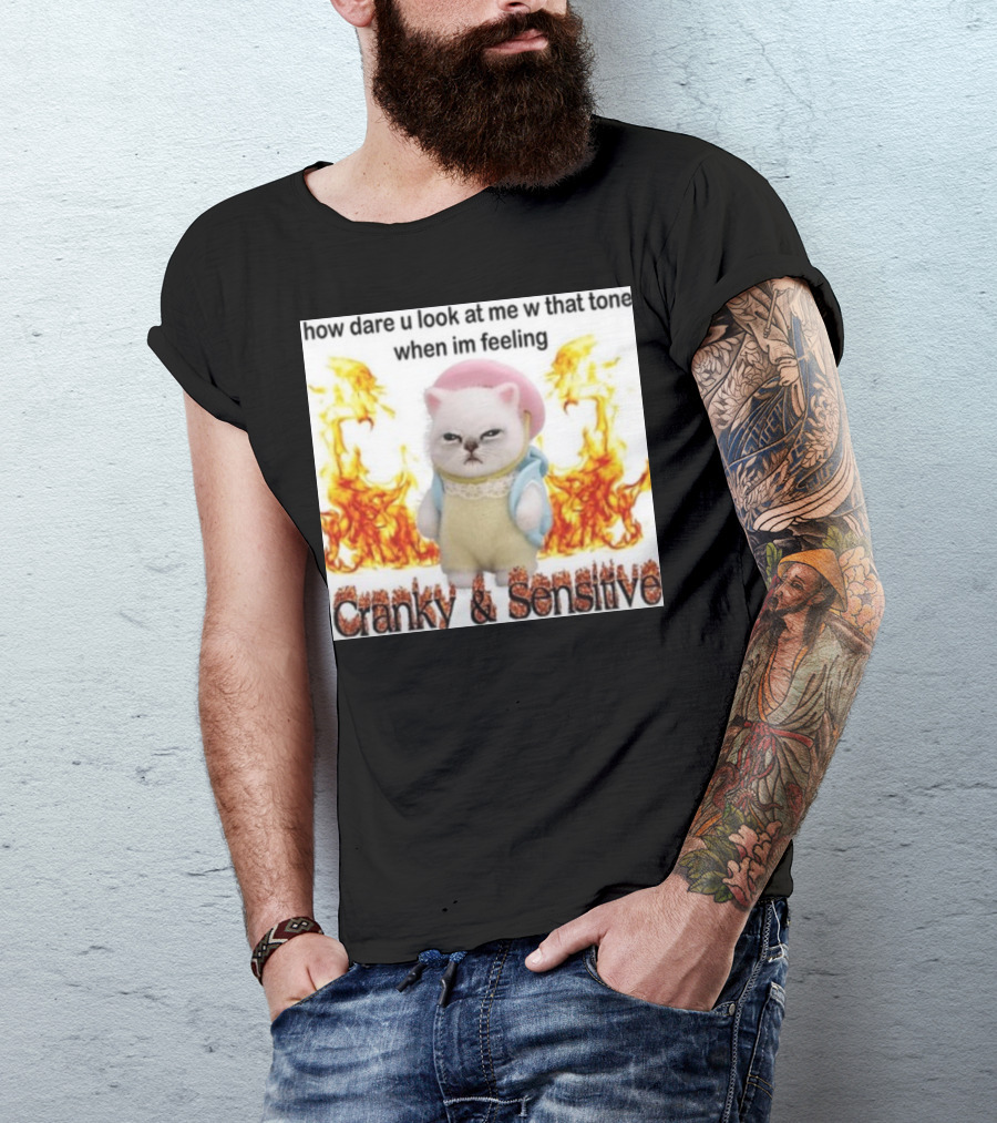 Cranky And Sensitive How Dare U Look At Me W That Tone When I'm Feeling T-Shirt