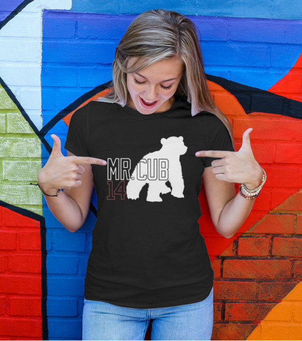 Mr. Cub 14 Silhouette Bear T-Shirt