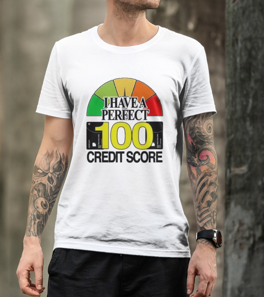 I Have A Perfect 100 Credit Score Gauge Graph T-Shirt