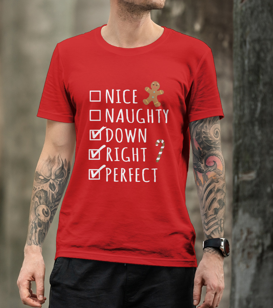 Nice Naughty Down Right Perfect Gingerbread Candy Cane Holiday Checklist T-Shirt