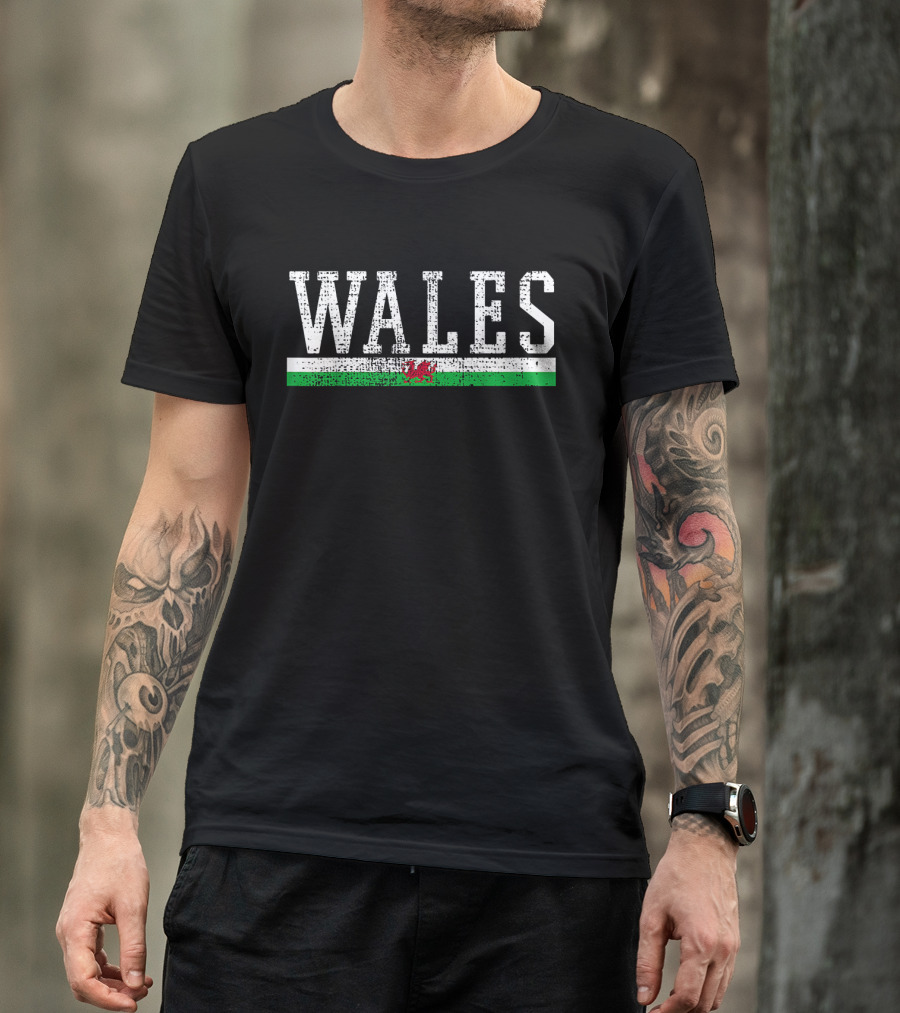 Wales Flag Vintage Distressed Design With Dragon Emblem T-Shirt