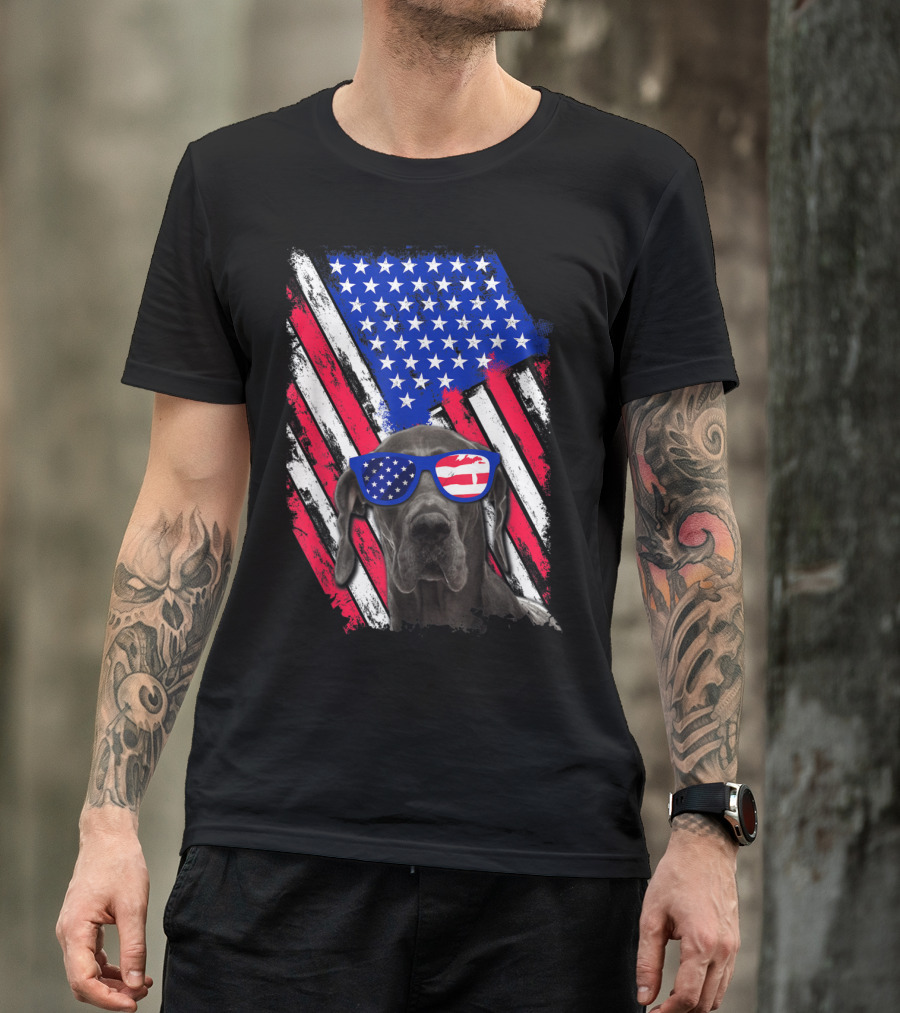 Vintage Distressed Great Dane With American USA Flag Sunglasses T-Shirt