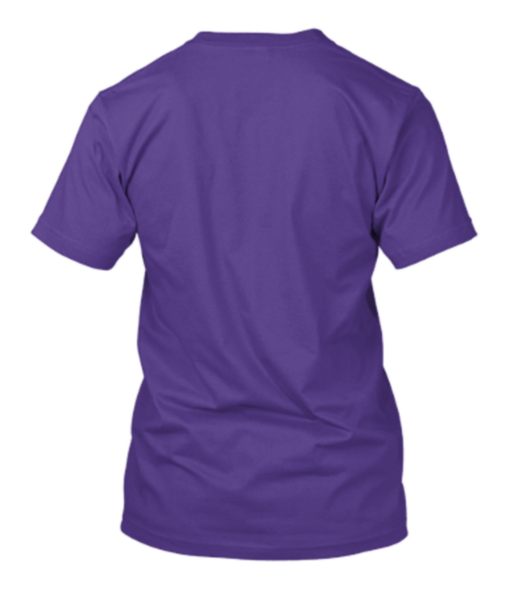 Vikings Skull Helmet With Purple And Yellow Wings T-Shirt
