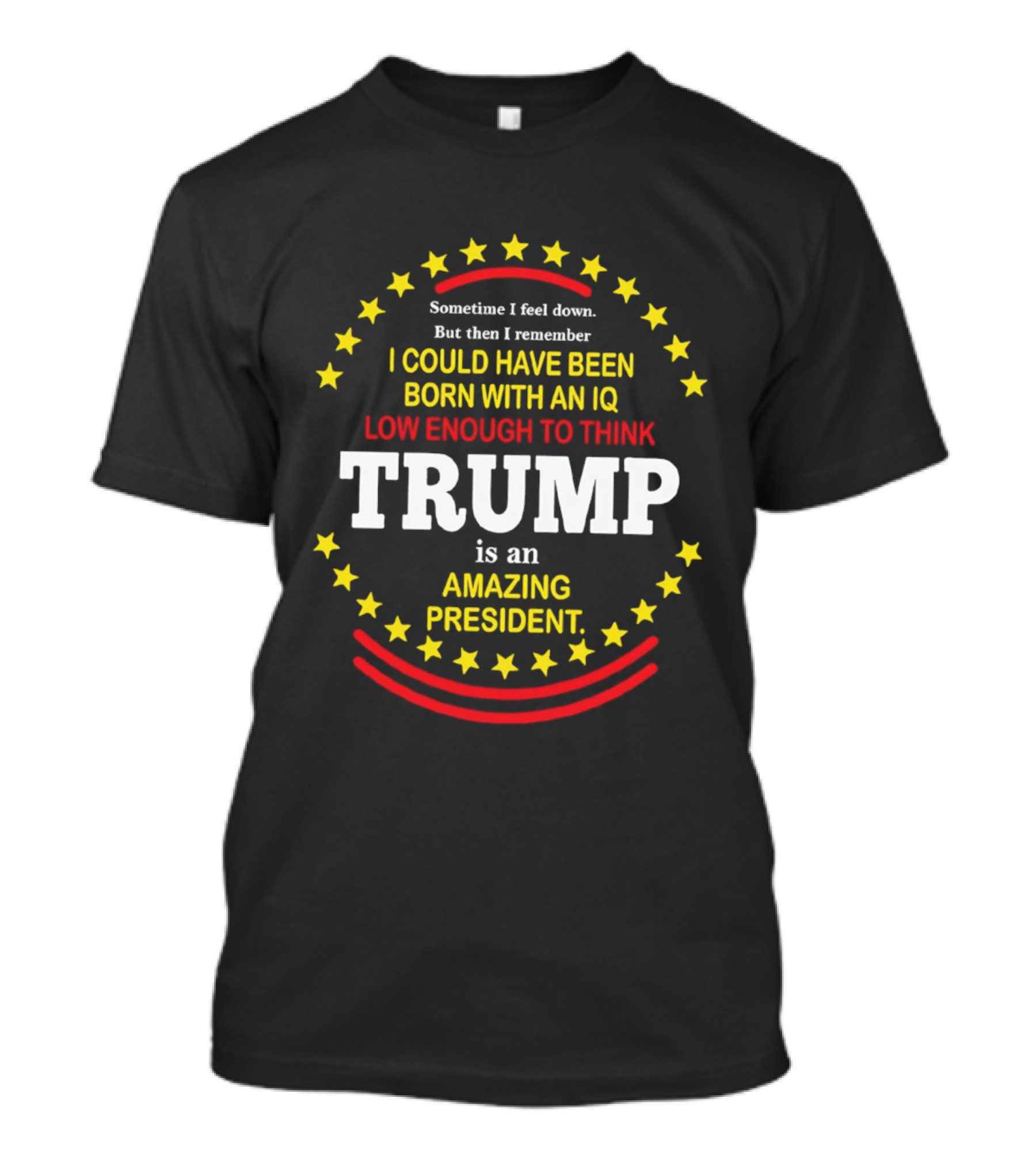 Sometime I Feel Down But Then I Remember I Could Have Been Born With An IQ Low Enough To Think Trump Is An Amazing President T-Shirt