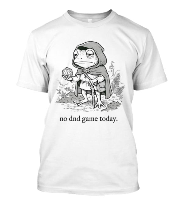 No DnD Game Today Frog Wizard Magic Adventure T-Shirt