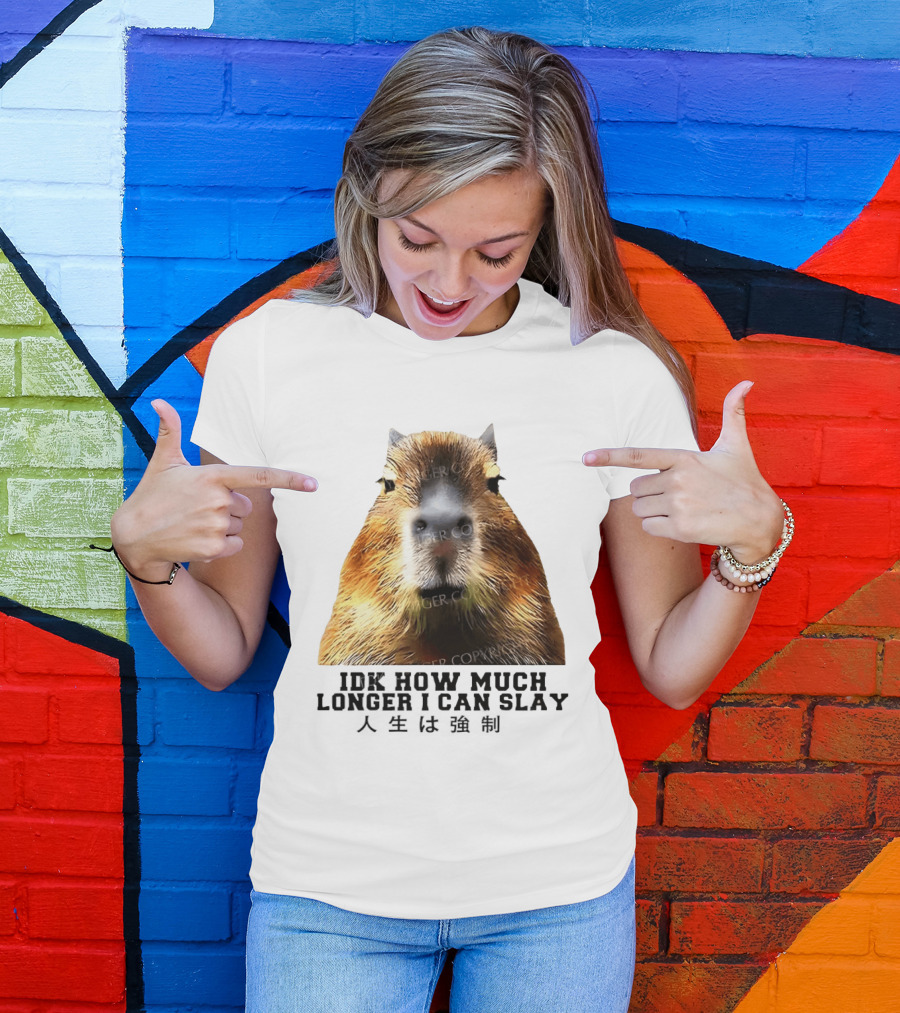 Capybara Idk How Much Longer I Can Slay T-Shirt