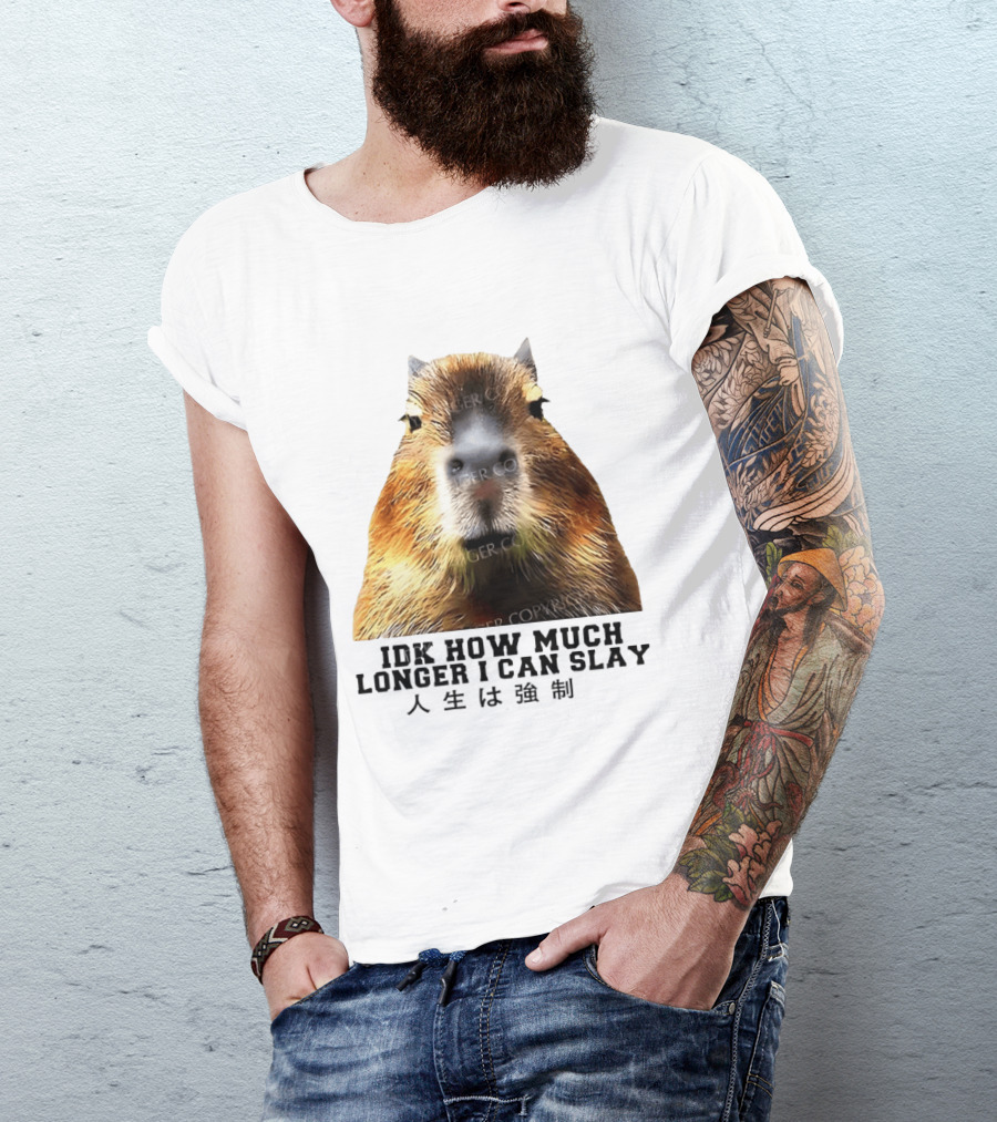 Capybara Idk How Much Longer I Can Slay T-Shirt