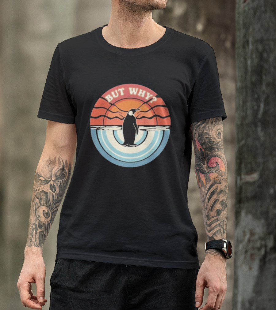 But Why Penguin Vintage Sunset Retro Ocean Waves T-Shirt