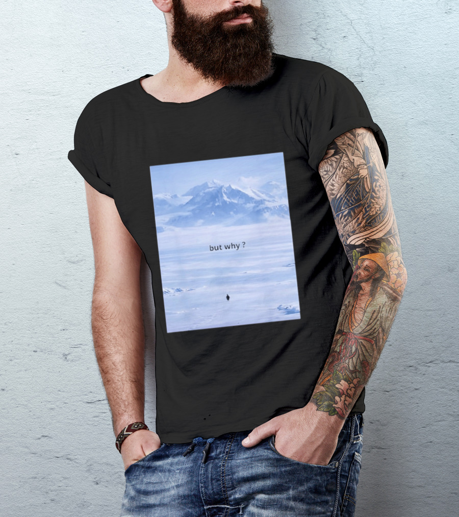 Penguin But Why Meme Snowy Mountains Motivational Scene T-Shirt